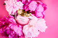 PHYRIS
BLOSSOM
LIGHT CREAM SPF 20
Protection. Rejuvenation. Ageless.