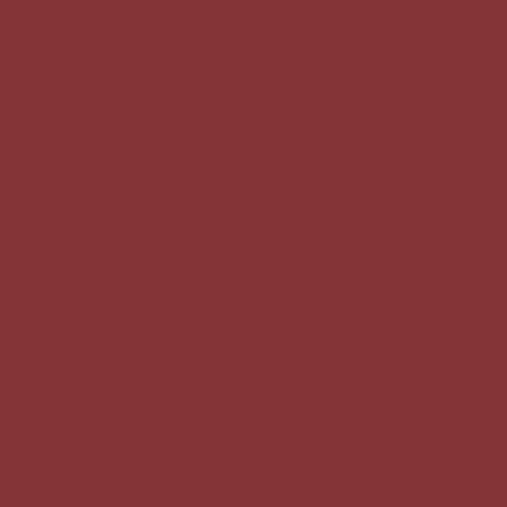 Velvet Mat Lipstick - 31 Burnt Red