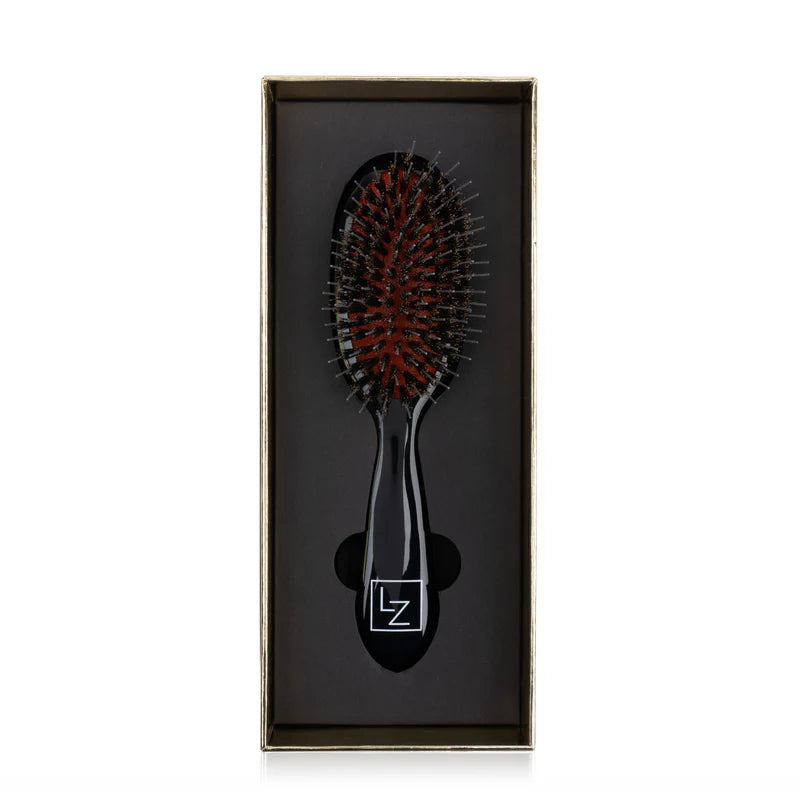 BRUSH 2GO